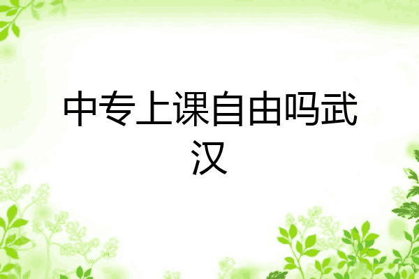 中专上课自由吗武汉