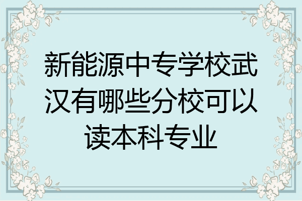 新能源中专学校武汉有哪些分校可以读本科专业