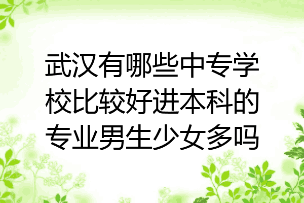 武汉有哪些中专学校比较好进本科的专业男生少女多吗