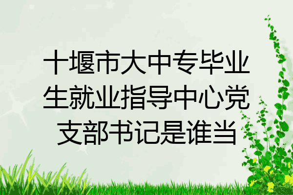 十堰市大中专毕业生就业指导中心党支部书记是谁当