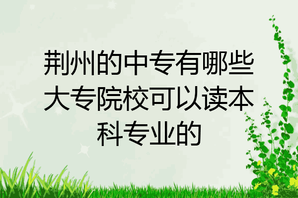 荆州的中专有哪些大专院校可以读本科专业的