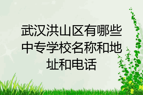 武汉洪山区有哪些中专学校名称和地址和电话