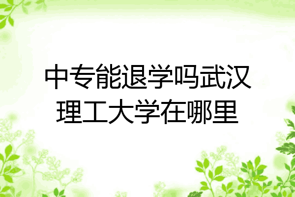中专能退学吗武汉理工大学在哪里
