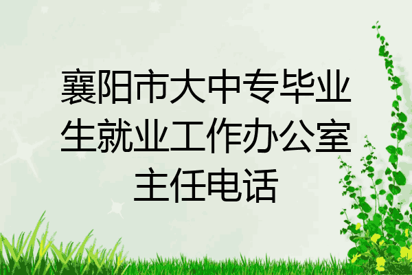 襄阳市大中专毕业生就业工作办公室主任电话
