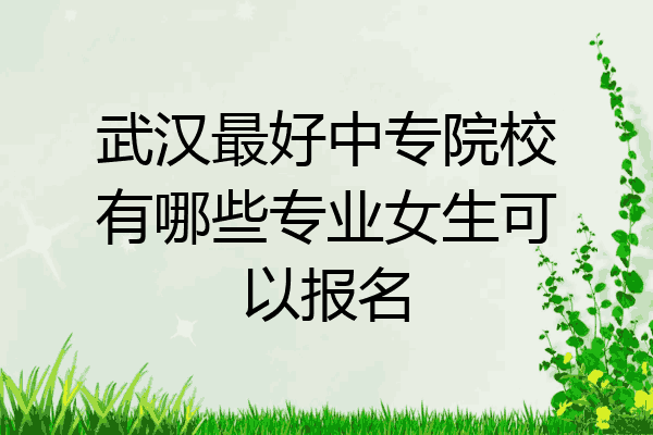 武汉最好中专院校有哪些专业女生可以报名