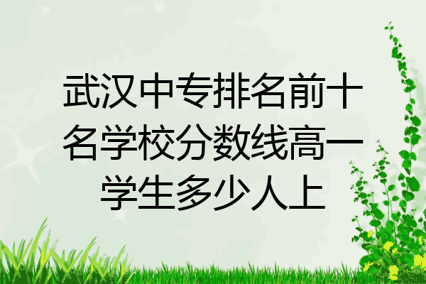 武汉中专排名前十名学校分数线高一学生多少人上