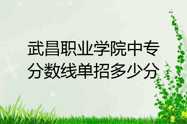 武昌职业学院中专分数线单招多少分