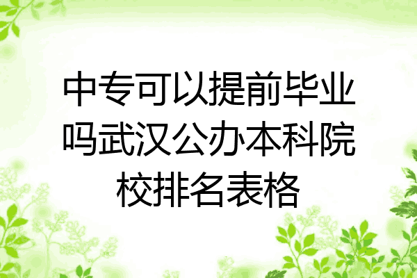 中专可以提前毕业吗武汉公办本科院校排名表格