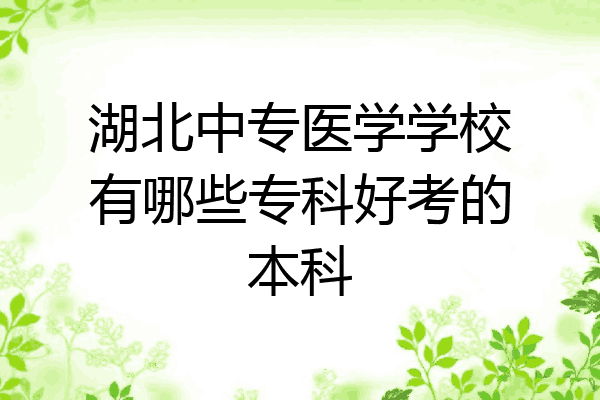 湖北中专医学学校有哪些专科好考的本科