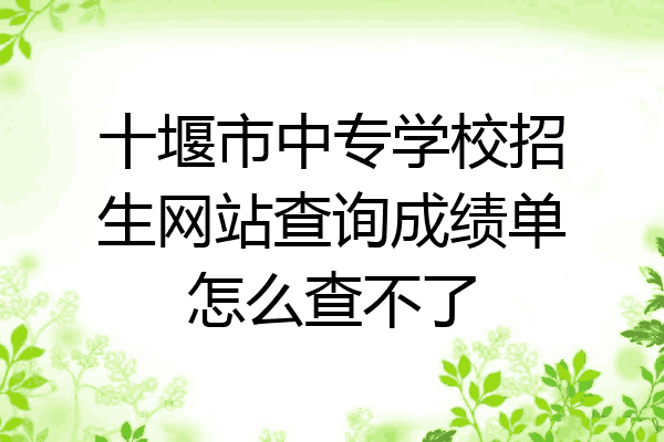 十堰市中专学校招生网站查询成绩单怎么查不了