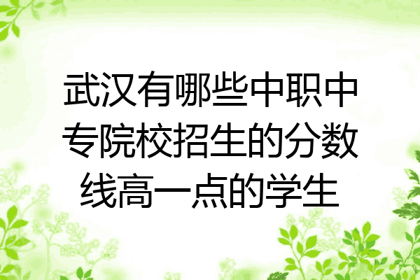 武汉有哪些中职中专院校招生的分数线高一点的学生