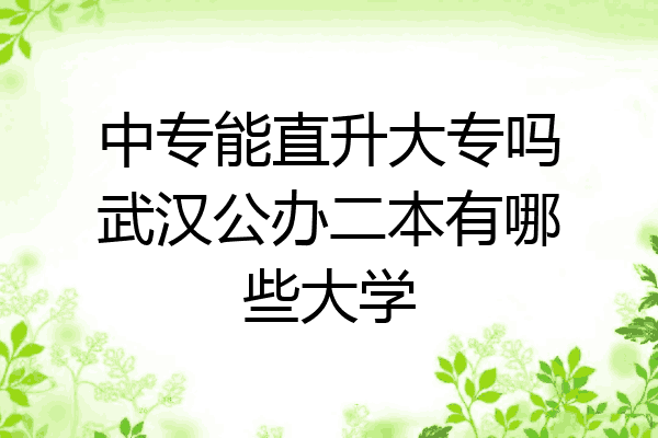 中专能直升大专吗武汉公办二本有哪些大学