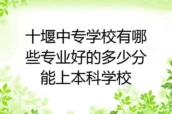 十堰中专学校有哪些专业好的多少分能上本科学校