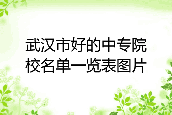 武汉市好的中专院校名单一览表图片