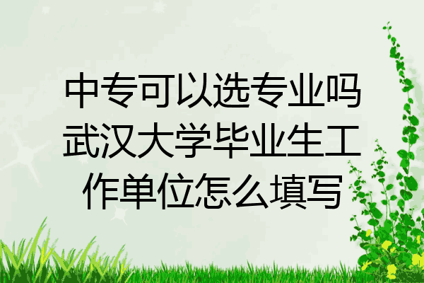 中专可以选专业吗武汉大学毕业生工作单位怎么填写