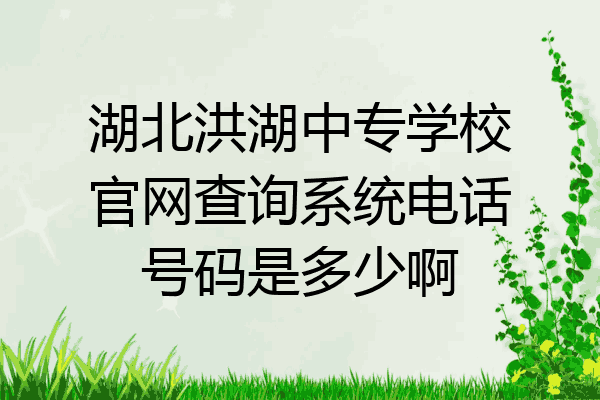 湖北洪湖中专学校官网查询系统电话号码是多少啊