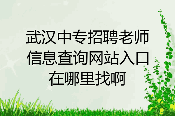 武汉中专招聘老师信息查询网站入口在哪里找啊