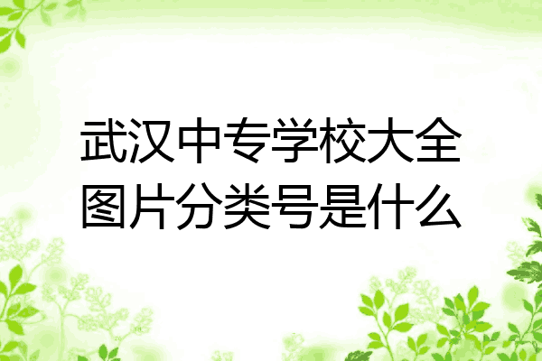 武汉中专学校大全图片分类号是什么