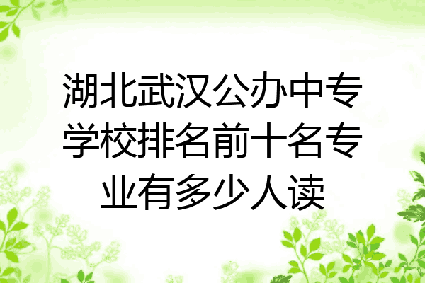 湖北武汉公办中专学校排名前十名专业有多少人读