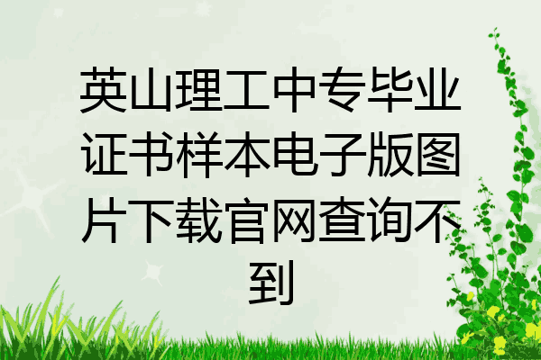 英山理工中专毕业证书样本电子版图片下载官网查询不到