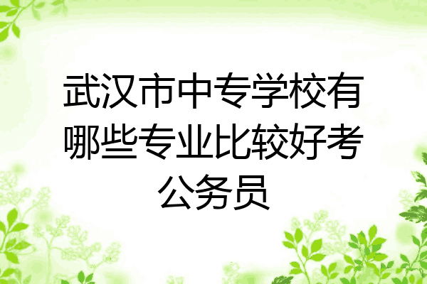 武汉市中专学校有哪些专业比较好考公务员