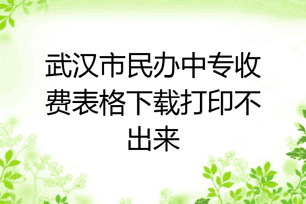 武汉市民办中专收费表格下载打印不出来