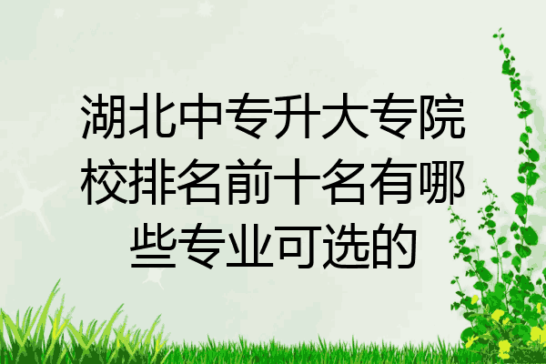 湖北中专升大专院校排名前十名有哪些专业可选的