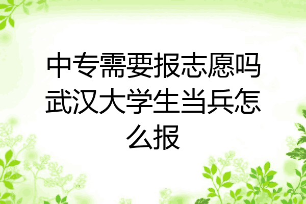 中专需要报志愿吗武汉大学生当兵怎么报