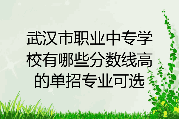 武汉市职业中专学校有哪些分数线高的单招专业可选