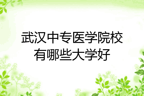 武汉中专医学院校有哪些大学好