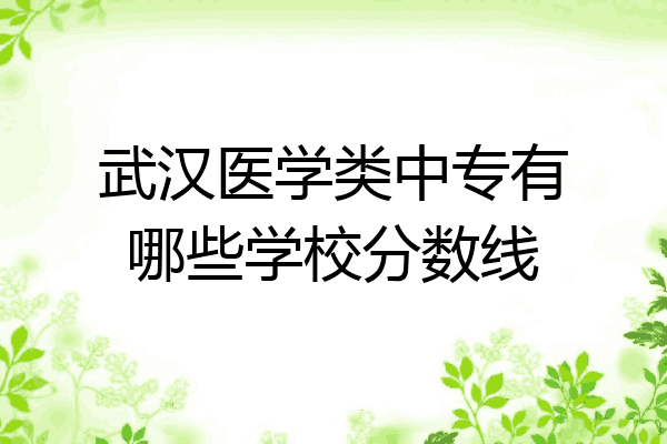 武汉医学类中专有哪些学校分数线