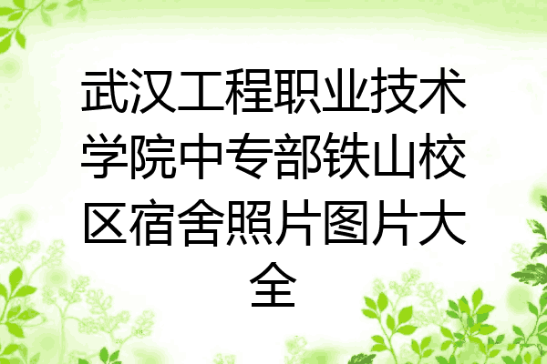 武汉工程职业技术学院中专部铁山校区宿舍照片图片大全