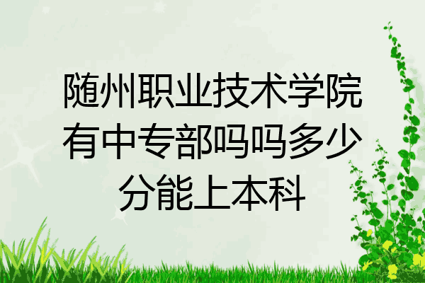 随州职业技术学院有中专部吗吗多少分能上本科
