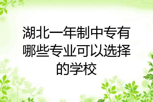 湖北一年制中专有哪些专业可以选择的学校