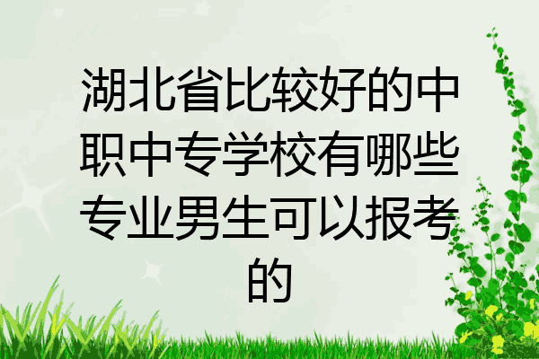 湖北省比较好的中职中专学校有哪些专业男生可以报考的