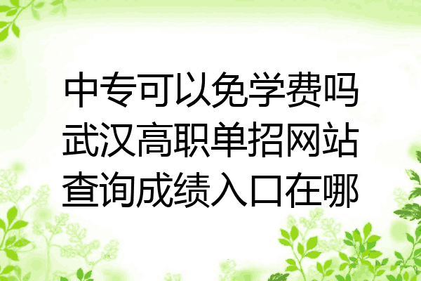 中专可以免学费吗武汉高职单招网站查询成绩入口在哪