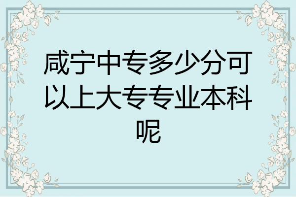 咸宁中专多少分可以上大专专业本科呢
