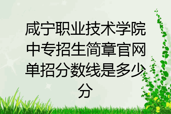 咸宁职业技术学院中专招生简章官网单招分数线是多少分