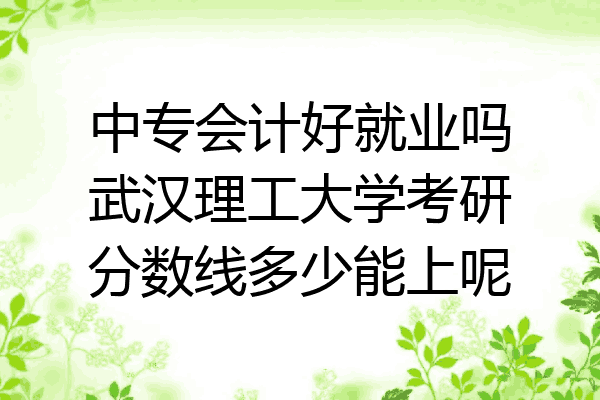 中专会计好就业吗武汉理工大学考研分数线多少能上呢