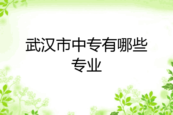武汉市中专有哪些专业