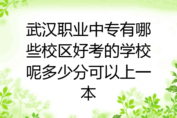 武汉职业中专有哪些校区好考的学校呢多少分可以上一本