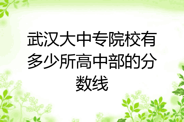 武汉大中专院校有多少所高中部的分数线