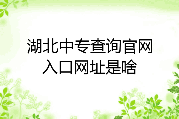 湖北中专查询官网入口网址是啥