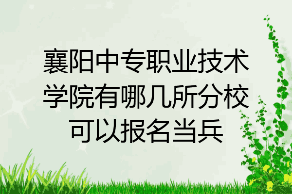 襄阳中专职业技术学院有哪几所分校可以报名当兵