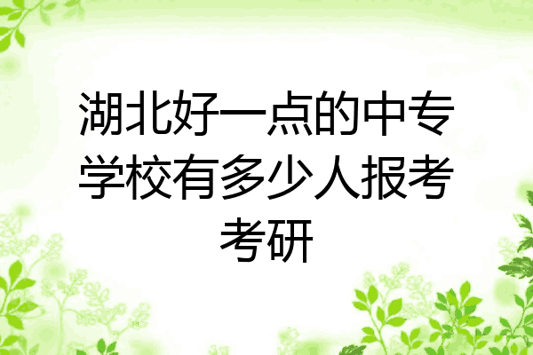 湖北好一点的中专学校有多少人报考考研