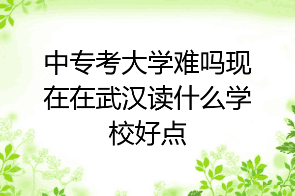 中专考大学难吗现在在武汉读什么学校好点