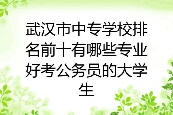 武汉市中专学校排名前十有哪些专业好考公务员的大学生