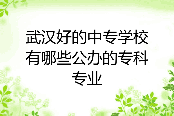 武汉好的中专学校有哪些公办的专科专业