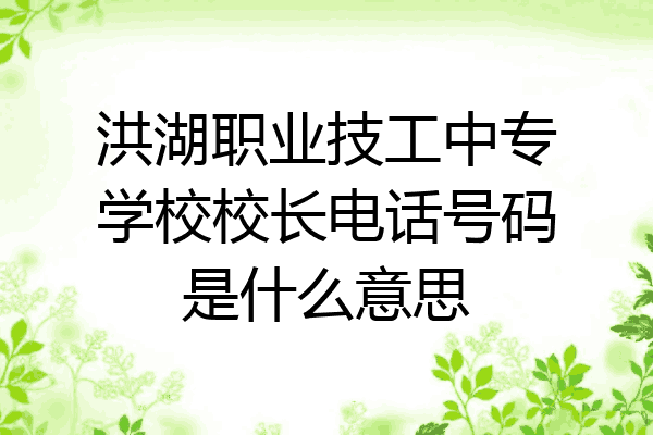 洪湖职业技工中专学校校长电话号码是什么意思