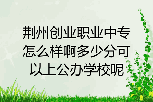 荆州创业职业中专怎么样啊多少分可以上公办学校呢